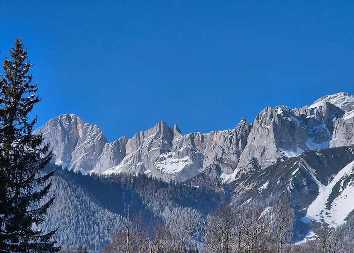 Family Appartment - Dachstein View