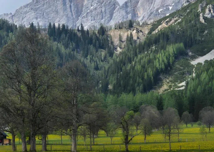 Family Appartment - Dachstein View
