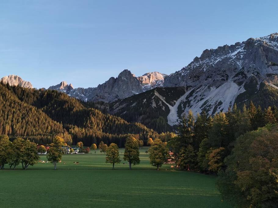 Apartment Family - Dachstein View *