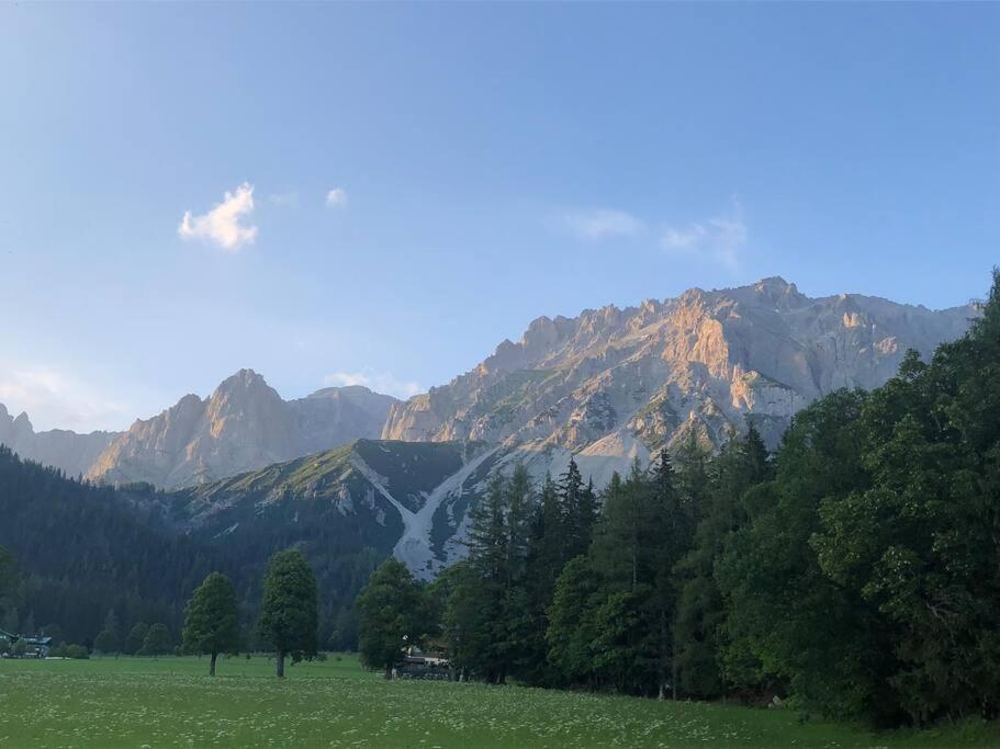 Family - Dachstein View Apartment