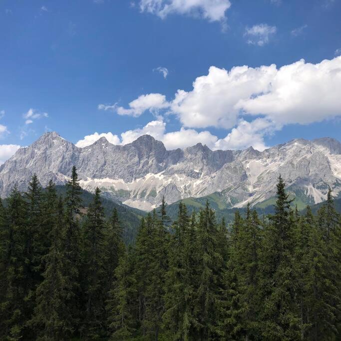 Apartment Family - Dachstein View