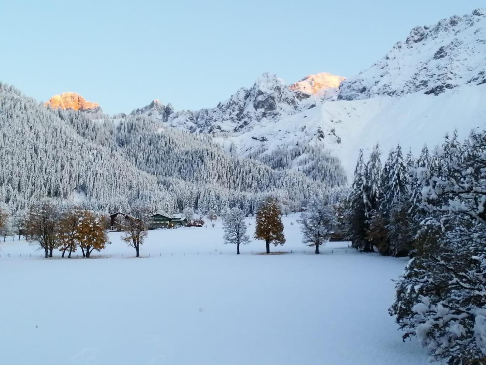 Apartment Family - Dachstein View *