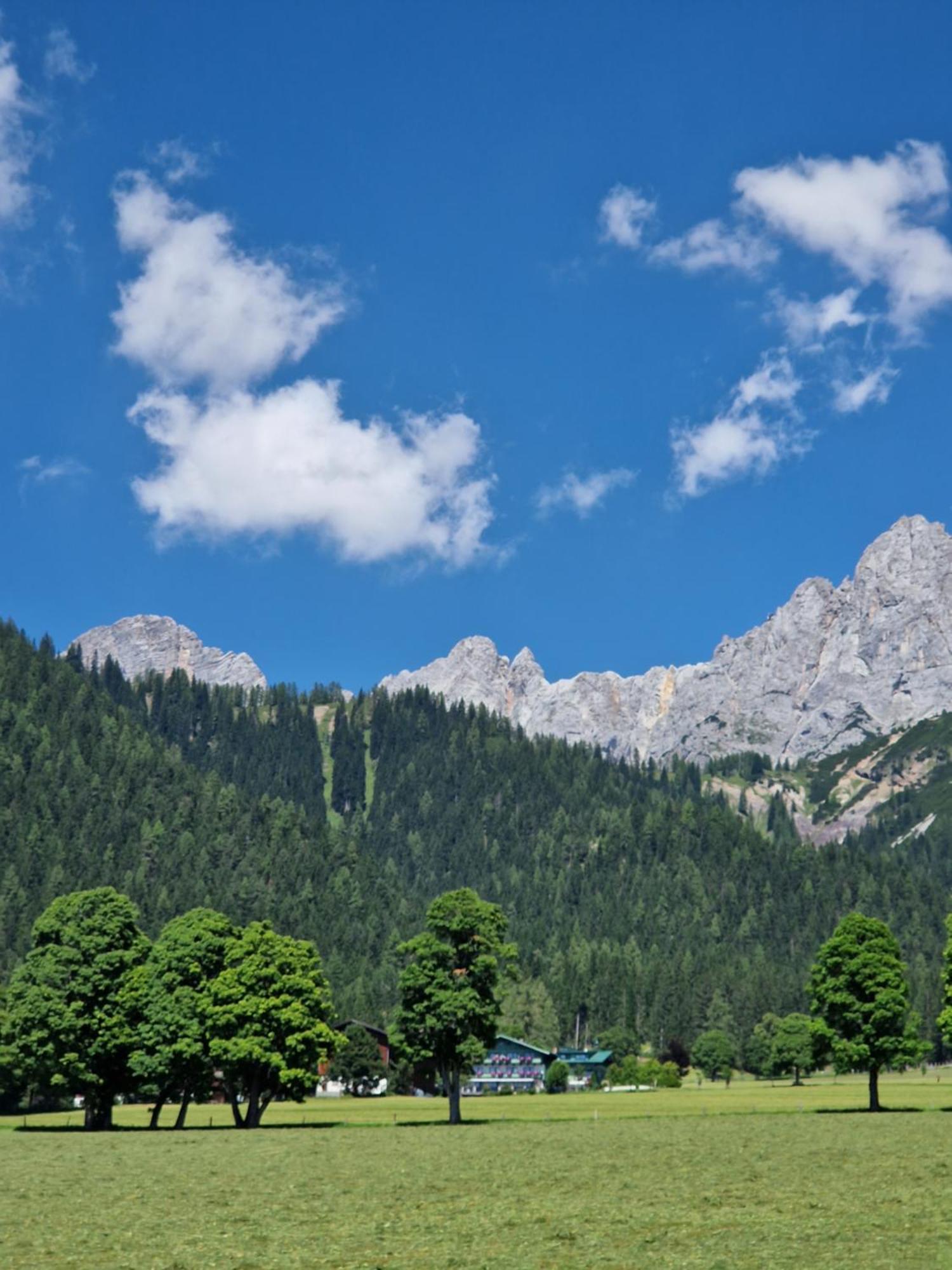 Apartment Family - Dachstein View Ramsau am Dachstein