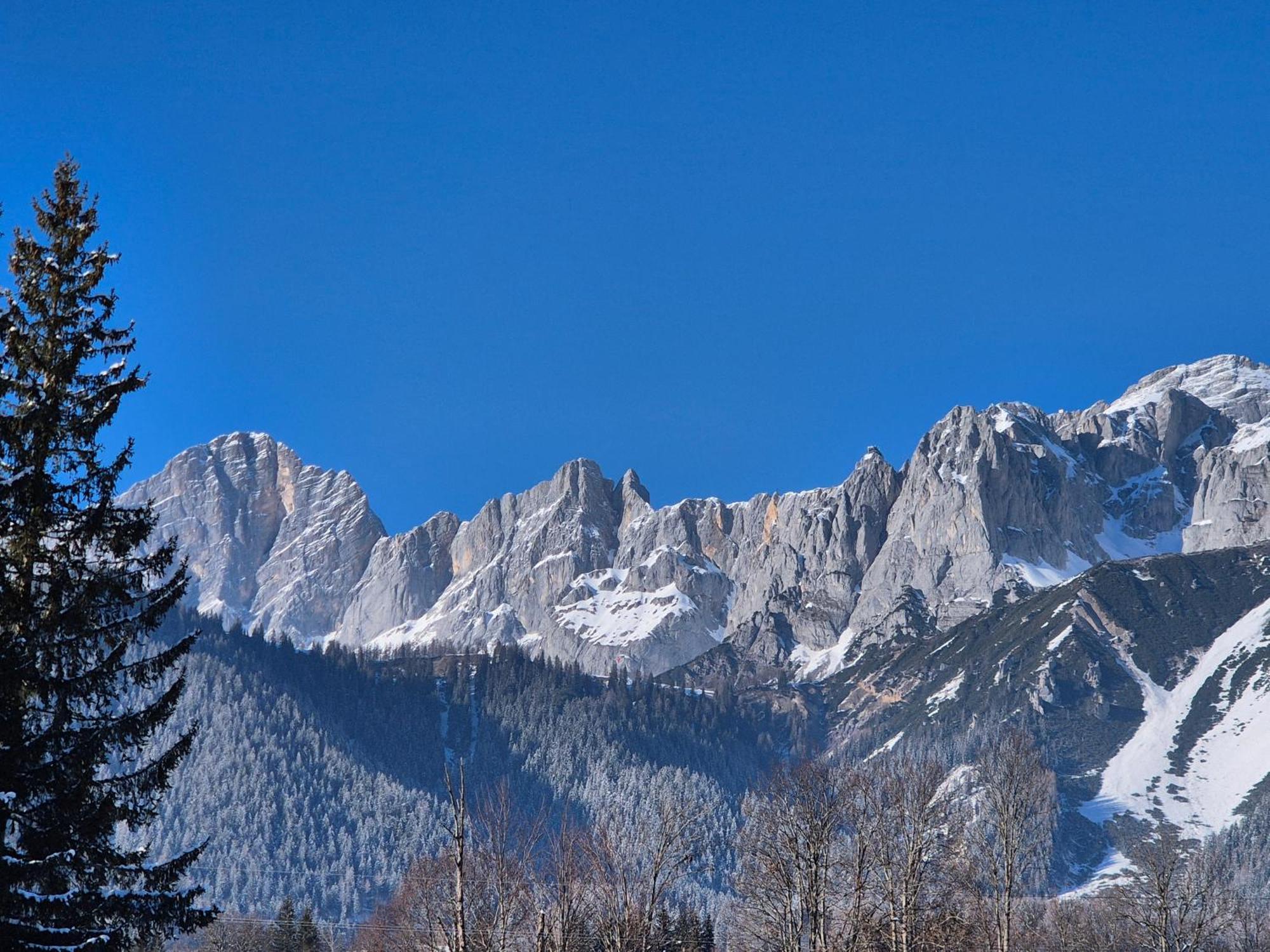 Apartment Family - Dachstein View *